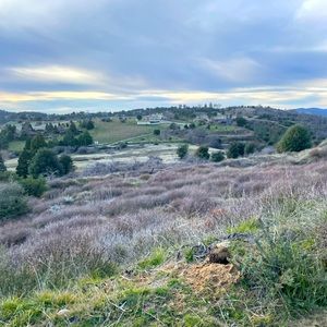 Meet your Posher, Romina